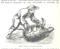An illustration from Leaflets from the Danish West Indies: descriptive of the social, political and commercial condition of these Islands ... With a portrait of the author and a biographical sketch, ... by P. Linet (1888)