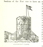 An illustration from Leaflets from the Danish West Indies: descriptive of the social, political and commercial condition of these Islands ... With a portrait of the author and a biographical sketch, ... by P. Linet (1888)