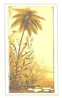 An illustration from Leaflets from the Danish West Indies: descriptive of the social, political and commercial condition of these Islands ... With a portrait of the author and a biographical sketch, ... by P. Linet (1888)