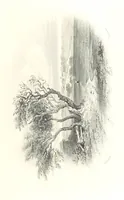An illustration from The Pictorial History of Scotland ... A.D. 79-1746. By J. Taylor, assisted by Professor Lindsay, Professor Eadie, J. Anderson, G. Macdonald, and other contributors (1884)