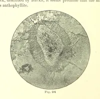 Picture 15 of 109 from British Petrography: with special reference to the igneous rocks. With ... plates. (Glossary of terms used in describing Rocks By F. H. Hatch.) (1888), leaf 190