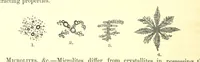Picture 1 of 109 from British Petrography: with special reference to the igneous rocks. With ... plates. (Glossary of terms used in describing Rocks By F. H. Hatch.) (1888), leaf 28