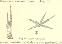 Picture 2 of 109 from British Petrography: with special reference to the igneous rocks. With ... plates. (Glossary of terms used in describing Rocks By F. H. Hatch.) (1888), leaf 29