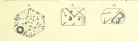An illustration from British Petrography: with special reference to the igneous rocks. With ... plates. (Glossary of terms used in describing Rocks By F. H. Hatch.) (1888)