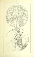 Picture 17 of 109 from British Petrography: with special reference to the igneous rocks. With ... plates. (Glossary of terms used in describing Rocks By F. H. Hatch.) (1888), leaf 467