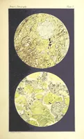 Picture 20 of 109 from British Petrography: with special reference to the igneous rocks. With ... plates. (Glossary of terms used in describing Rocks By F. H. Hatch.) (1888), leaf 473