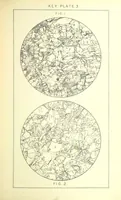 Picture 21 of 109 from British Petrography: with special reference to the igneous rocks. With ... plates. (Glossary of terms used in describing Rocks By F. H. Hatch.) (1888), leaf 475