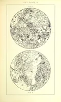Picture 31 of 109 from British Petrography: with special reference to the igneous rocks. With ... plates. (Glossary of terms used in describing Rocks By F. H. Hatch.) (1888), leaf 495