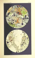 Picture 32 of 109 from British Petrography: with special reference to the igneous rocks. With ... plates. (Glossary of terms used in describing Rocks By F. H. Hatch.) (1888), leaf 497