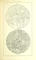 Picture 33 of 109 from British Petrography: with special reference to the igneous rocks. With ... plates. (Glossary of terms used in describing Rocks By F. H. Hatch.) (1888), leaf 499