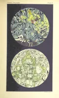 Picture 34 of 109 from British Petrography: with special reference to the igneous rocks. With ... plates. (Glossary of terms used in describing Rocks By F. H. Hatch.) (1888), leaf 501