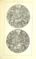 Picture 39 of 109 from British Petrography: with special reference to the igneous rocks. With ... plates. (Glossary of terms used in describing Rocks By F. H. Hatch.) (1888), leaf 511