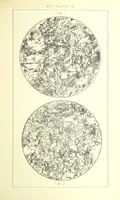 Picture 41 of 109 from British Petrography: with special reference to the igneous rocks. With ... plates. (Glossary of terms used in describing Rocks By F. H. Hatch.) (1888), leaf 515