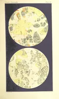 Picture 48 of 109 from British Petrography: with special reference to the igneous rocks. With ... plates. (Glossary of terms used in describing Rocks By F. H. Hatch.) (1888), leaf 529