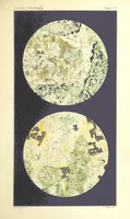 Picture 50 of 109 from British Petrography: with special reference to the igneous rocks. With ... plates. (Glossary of terms used in describing Rocks By F. H. Hatch.) (1888), leaf 533