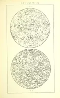 Picture 55 of 109 from British Petrography: with special reference to the igneous rocks. With ... plates. (Glossary of terms used in describing Rocks By F. H. Hatch.) (1888), leaf 543