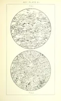 Picture 57 of 109 from British Petrography: with special reference to the igneous rocks. With ... plates. (Glossary of terms used in describing Rocks By F. H. Hatch.) (1888), leaf 547