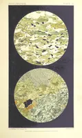 Picture 58 of 109 from British Petrography: with special reference to the igneous rocks. With ... plates. (Glossary of terms used in describing Rocks By F. H. Hatch.) (1888), leaf 549