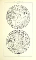 Picture 59 of 109 from British Petrography: with special reference to the igneous rocks. With ... plates. (Glossary of terms used in describing Rocks By F. H. Hatch.) (1888), leaf 551