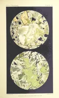 Picture 60 of 109 from British Petrography: with special reference to the igneous rocks. With ... plates. (Glossary of terms used in describing Rocks By F. H. Hatch.) (1888), leaf 553