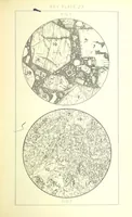 Picture 61 of 109 from British Petrography: with special reference to the igneous rocks. With ... plates. (Glossary of terms used in describing Rocks By F. H. Hatch.) (1888), leaf 555