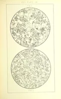 Picture 63 of 109 from British Petrography: with special reference to the igneous rocks. With ... plates. (Glossary of terms used in describing Rocks By F. H. Hatch.) (1888), leaf 559