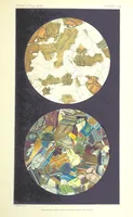Picture 66 of 109 from British Petrography: with special reference to the igneous rocks. With ... plates. (Glossary of terms used in describing Rocks By F. H. Hatch.) (1888), leaf 565