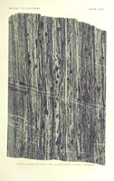 An illustration from British Petrography: with special reference to the igneous rocks. With ... plates. (Glossary of terms used in describing Rocks By F. H. Hatch.) (1888)