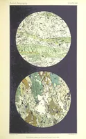 Picture 71 of 109 from British Petrography: with special reference to the igneous rocks. With ... plates. (Glossary of terms used in describing Rocks By F. H. Hatch.) (1888), leaf 575