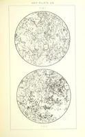 Picture 72 of 109 from British Petrography: with special reference to the igneous rocks. With ... plates. (Glossary of terms used in describing Rocks By F. H. Hatch.) (1888), leaf 577