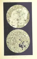 An illustration from British Petrography: with special reference to the igneous rocks. With ... plates. (Glossary of terms used in describing Rocks By F. H. Hatch.) (1888)