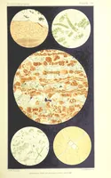 Picture 83 of 109 from British Petrography: with special reference to the igneous rocks. With ... plates. (Glossary of terms used in describing Rocks By F. H. Hatch.) (1888), leaf 599