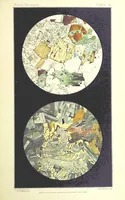 An illustration from British Petrography: with special reference to the igneous rocks. With ... plates. (Glossary of terms used in describing Rocks By F. H. Hatch.) (1888)