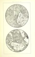 Picture 88 of 109 from British Petrography: with special reference to the igneous rocks. With ... plates. (Glossary of terms used in describing Rocks By F. H. Hatch.) (1888), leaf 609