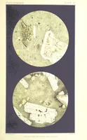 Picture 89 of 109 from British Petrography: with special reference to the igneous rocks. With ... plates. (Glossary of terms used in describing Rocks By F. H. Hatch.) (1888), leaf 611