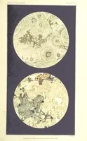 An illustration from British Petrography: with special reference to the igneous rocks. With ... plates. (Glossary of terms used in describing Rocks By F. H. Hatch.) (1888)