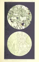 Picture 95 of 109 from British Petrography: with special reference to the igneous rocks. With ... plates. (Glossary of terms used in describing Rocks By F. H. Hatch.) (1888), leaf 623