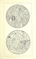 Picture 96 of 109 from British Petrography: with special reference to the igneous rocks. With ... plates. (Glossary of terms used in describing Rocks By F. H. Hatch.) (1888), leaf 625