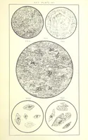 Picture 108 of 109 from British Petrography: with special reference to the igneous rocks. With ... plates. (Glossary of terms used in describing Rocks By F. H. Hatch.) (1888), leaf 647