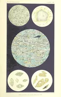 Picture 109 of 109 from British Petrography: with special reference to the igneous rocks. With ... plates. (Glossary of terms used in describing Rocks By F. H. Hatch.) (1888), leaf 649