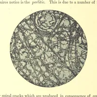 An illustration from British Petrography: with special reference to the igneous rocks. With ... plates. (Glossary of terms used in describing Rocks By F. H. Hatch.) (1888)