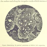 Picture 10 of 109 from British Petrography: with special reference to the igneous rocks. With ... plates. (Glossary of terms used in describing Rocks By F. H. Hatch.) (1888), leaf 99