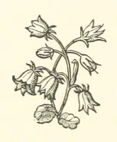 An illustration from The Works of Alfred Tennyson, etc (1872)