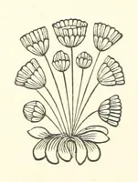 An illustration from The Works of Alfred Tennyson, etc (1872)