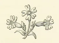 An illustration from The Works of Alfred Tennyson, etc (1872)