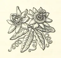 An illustration from The Works of Alfred Tennyson, etc (1872)