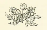 An illustration from The Works of Alfred Tennyson, etc (1872)