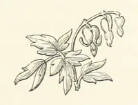 An illustration from The Works of Alfred Tennyson, etc (1872)