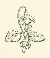 An illustration from The Works of Alfred Tennyson, etc (1872)