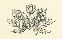 An illustration from The Works of Alfred Tennyson, etc (1872)